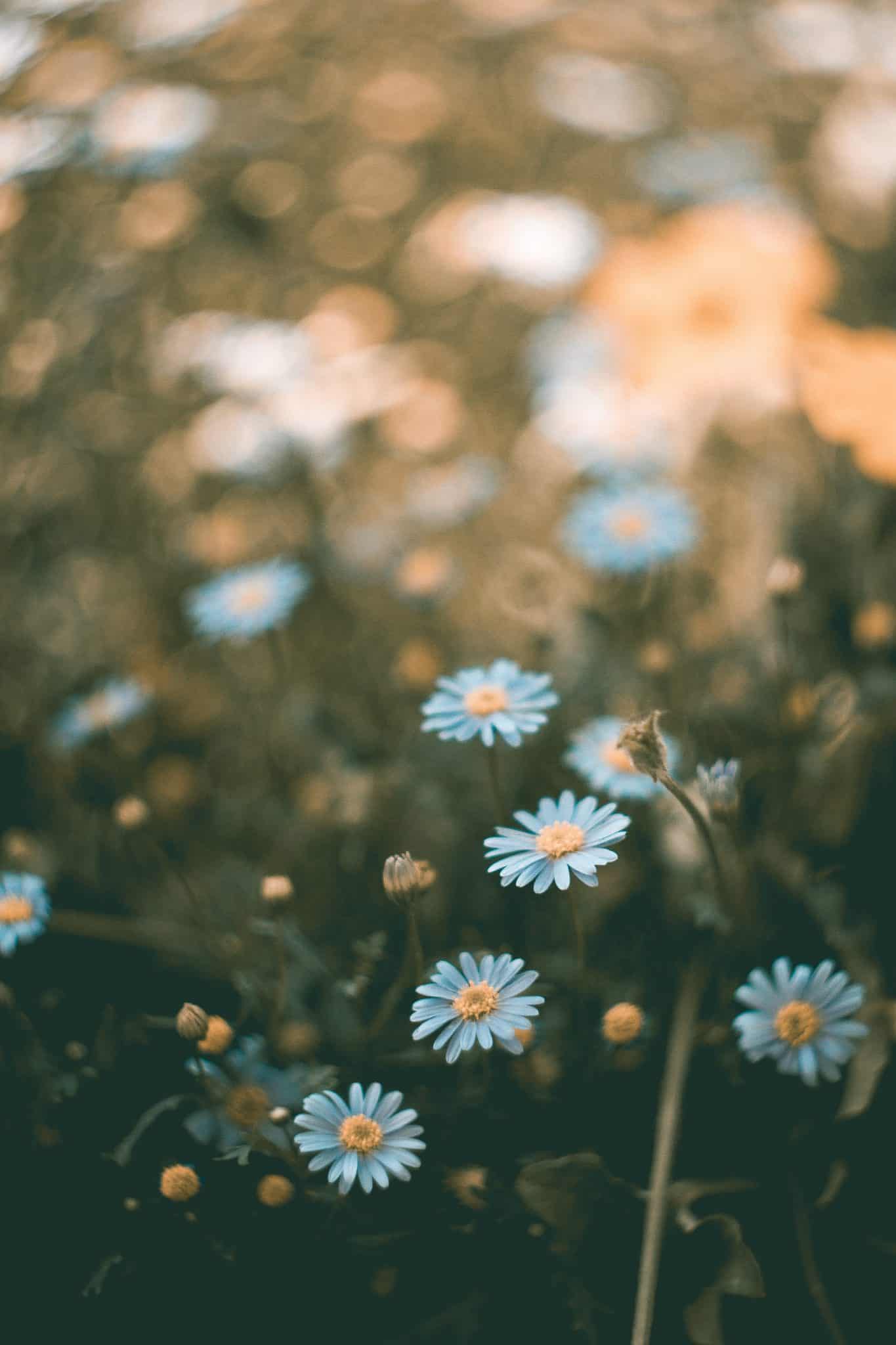 karina-vorozheeva-728105-unsplash