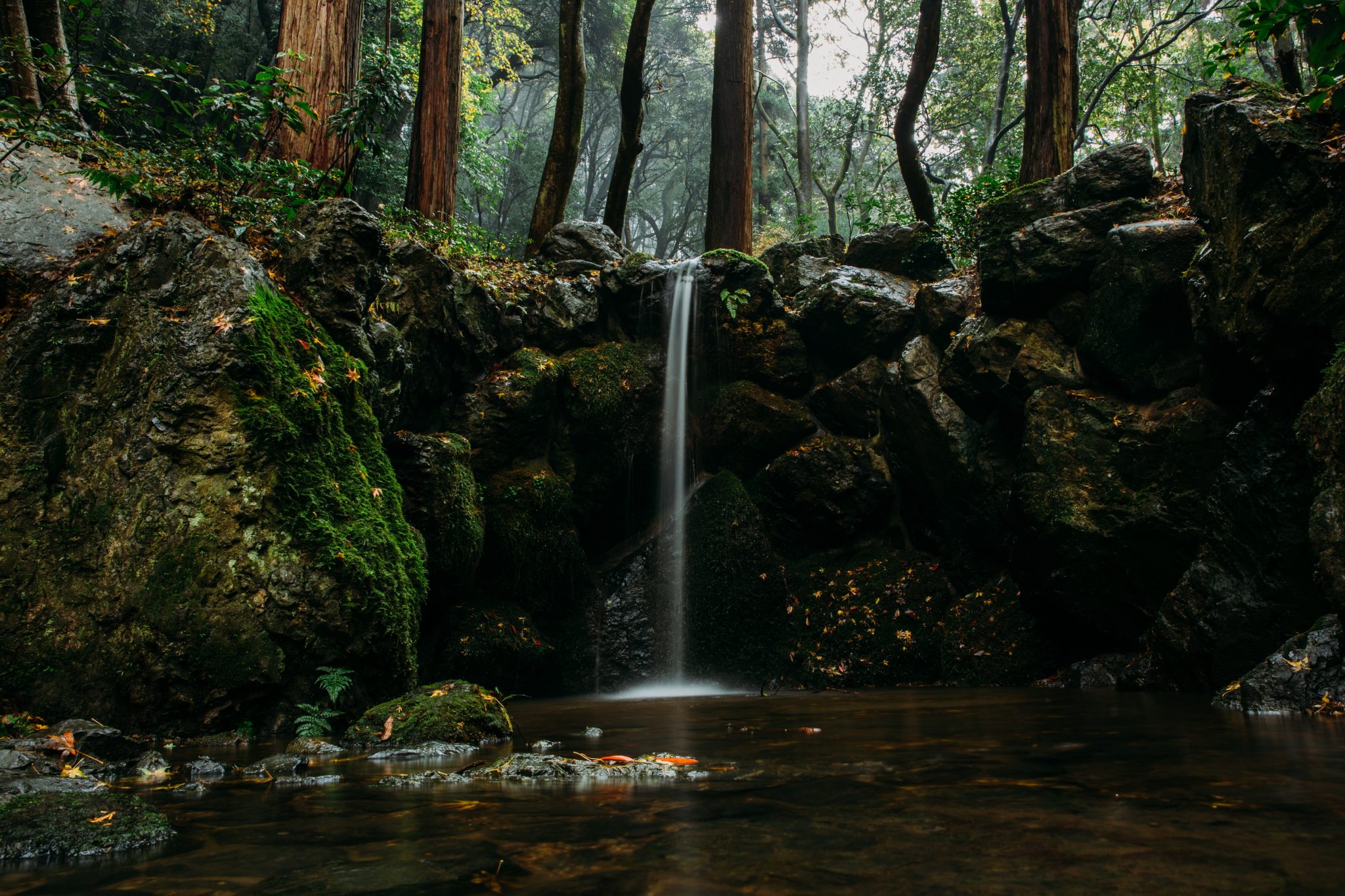 steven-diaz-182829-unsplash