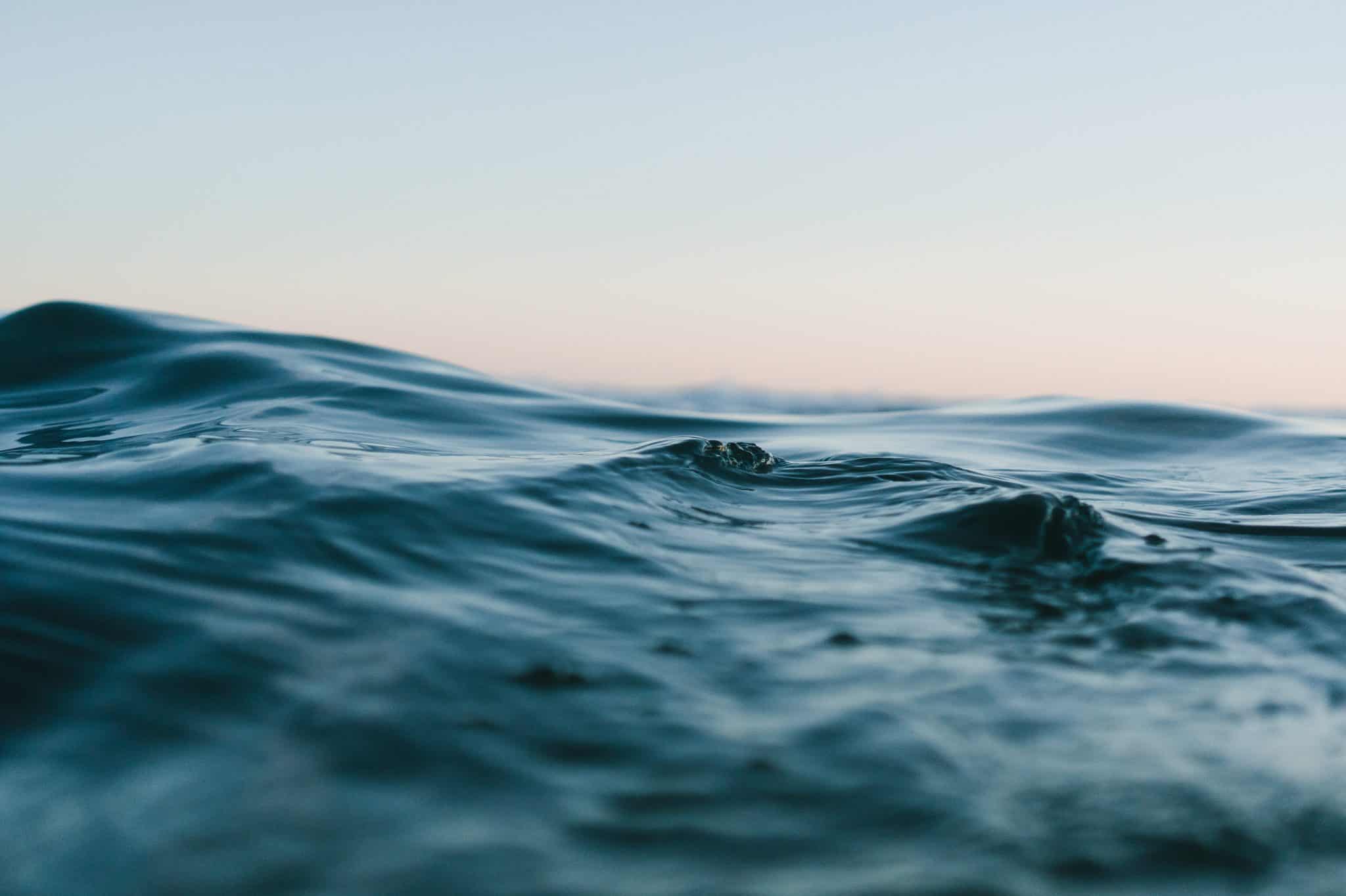 matt-hardy-562566-unsplash