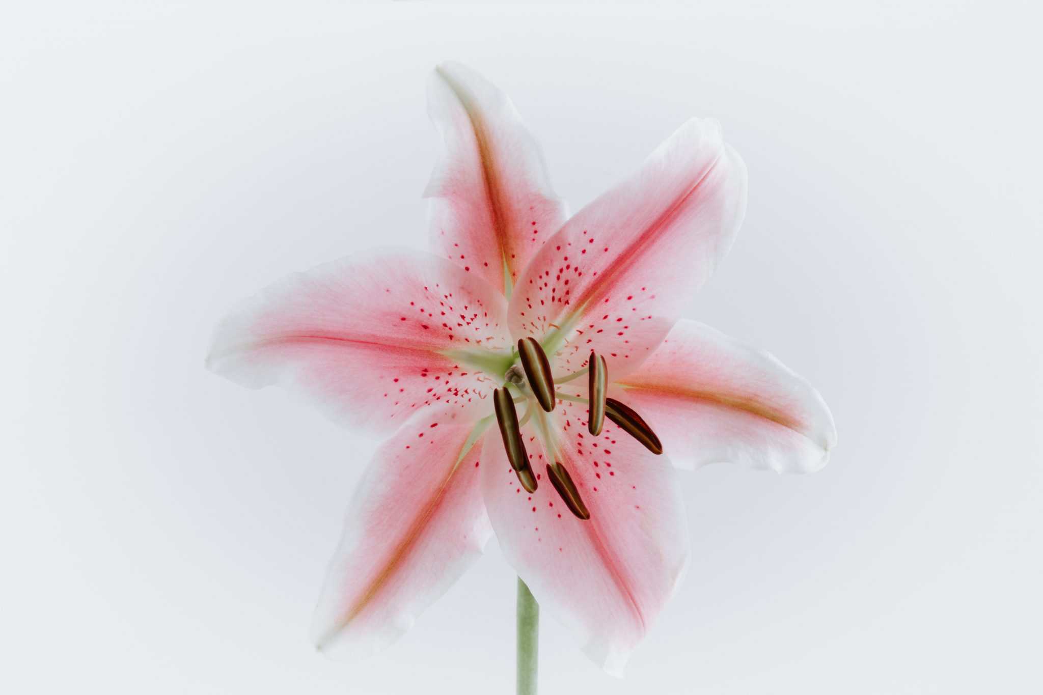 pawel-czerwinski-1090416-unsplash