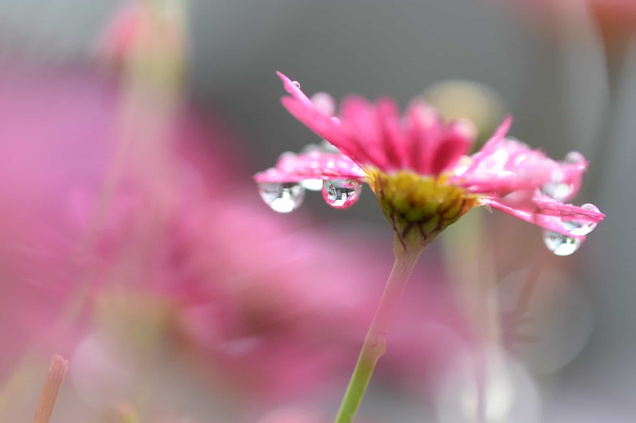 tattyan-26096-unsplash