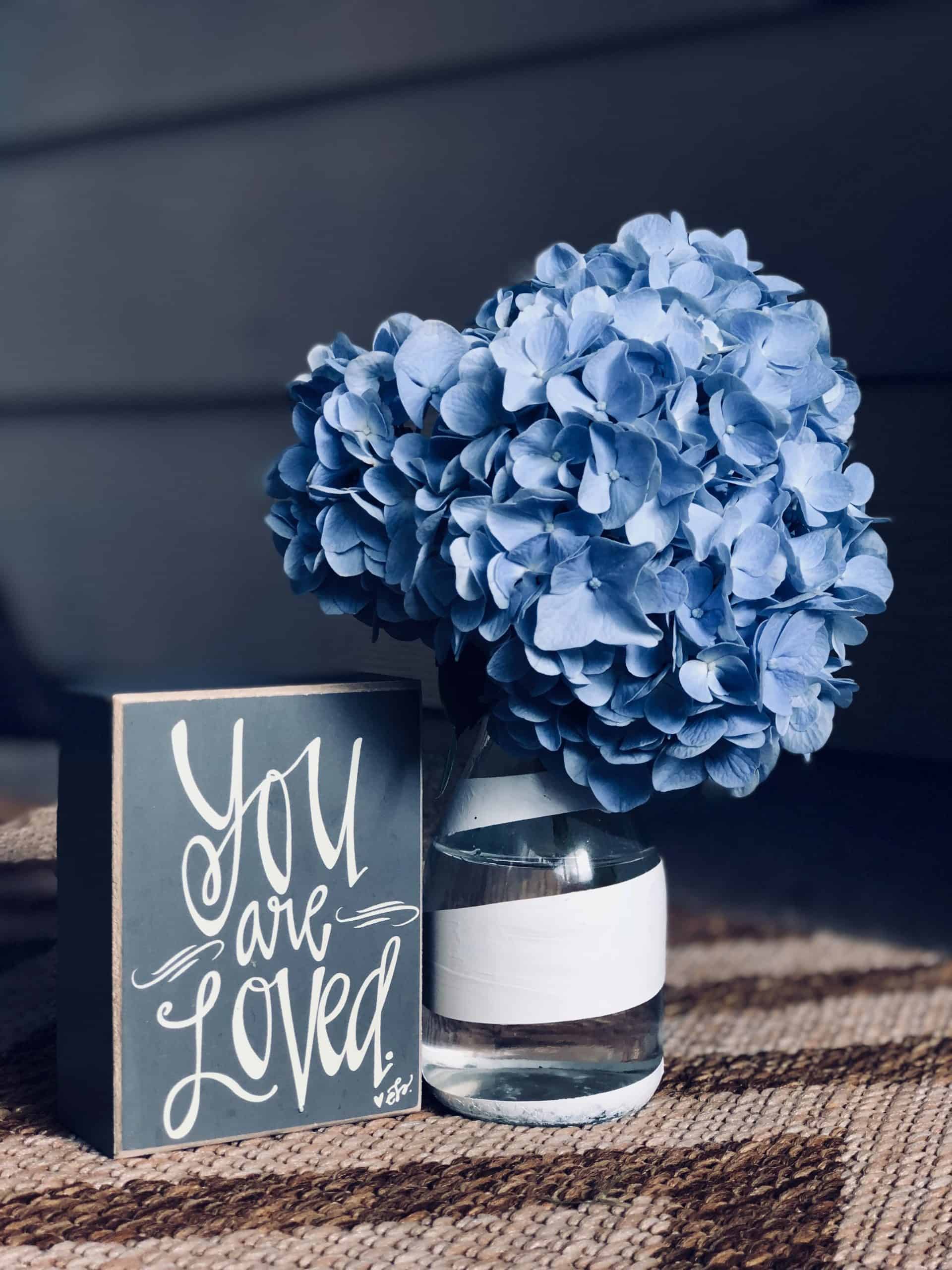 nicole-wilcox-709785-unsplash
