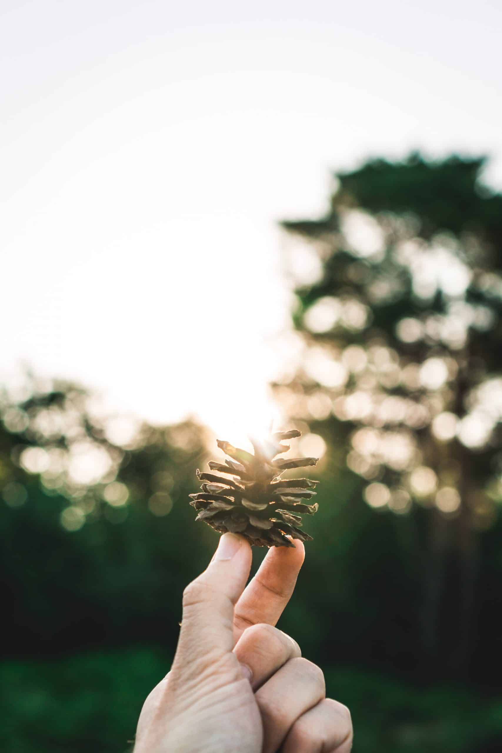 jim-abbring-731228-unsplash