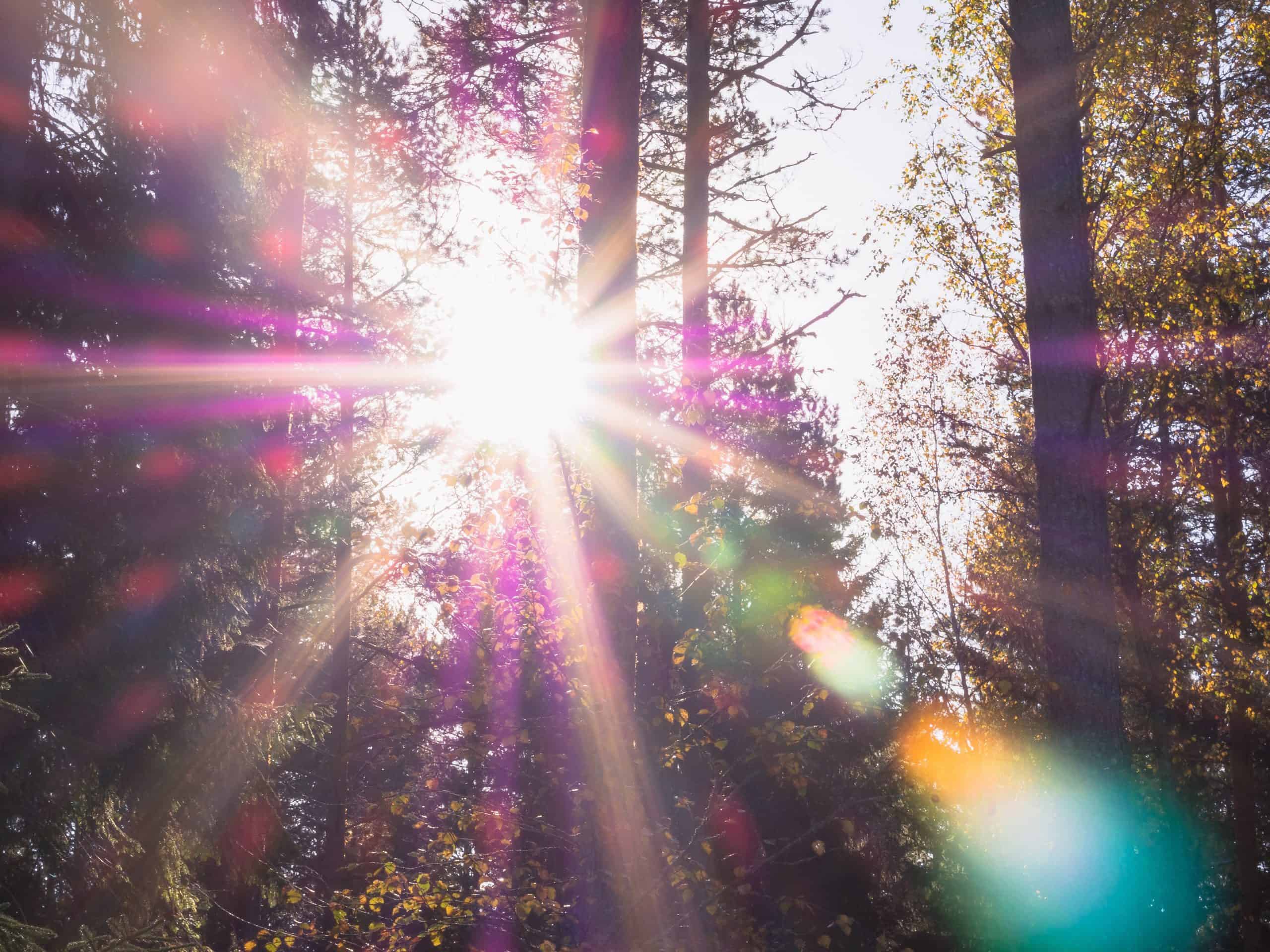patrick-selin-391360-unsplash