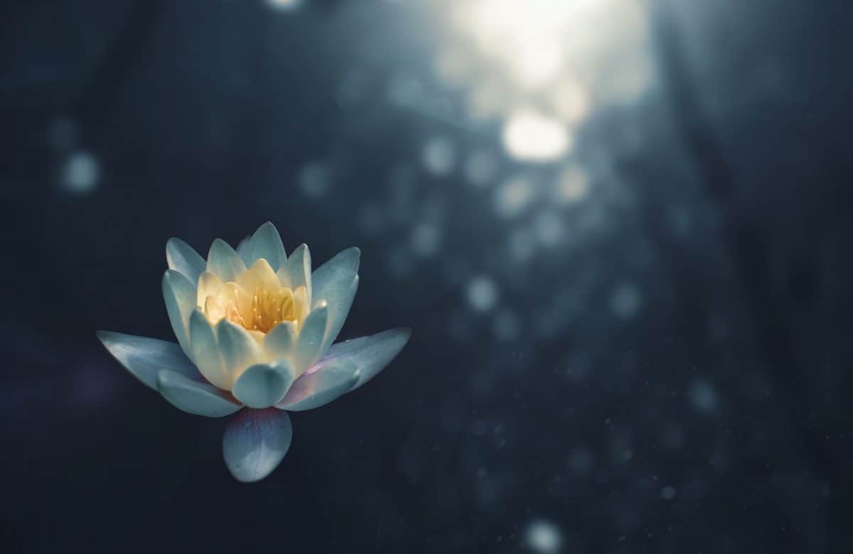 zoltan-tasi-698712-unsplash