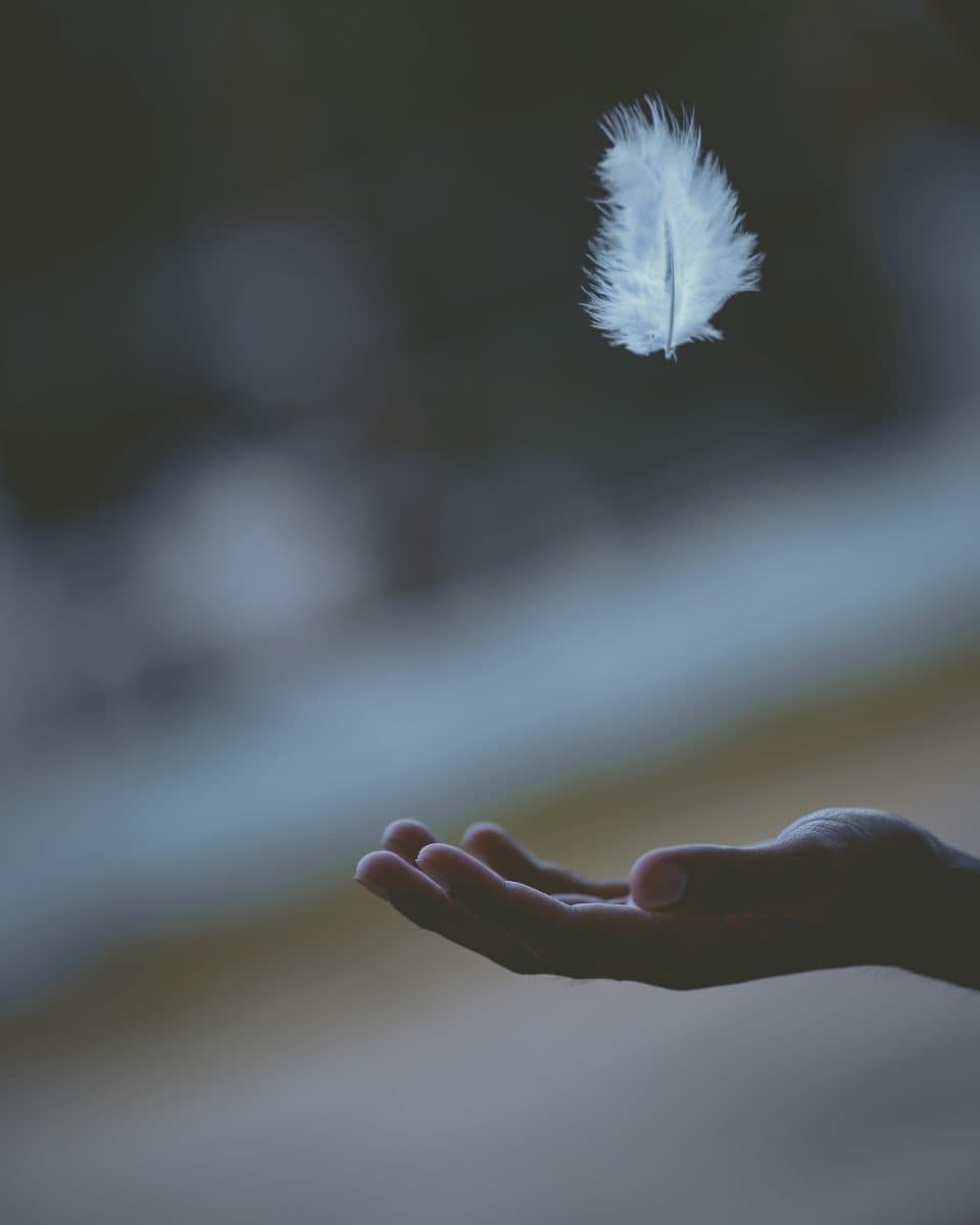javardh-680975-unsplash