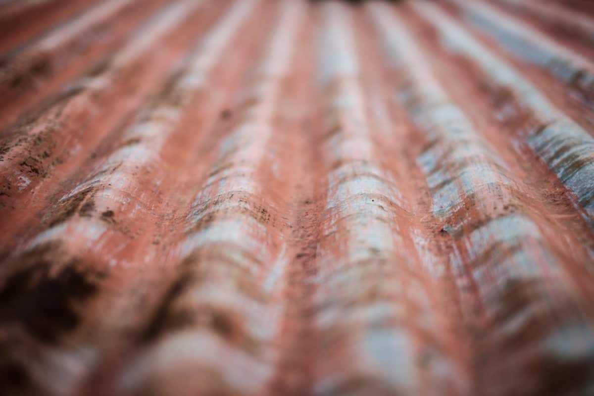 thomas-millot-329785-unsplash