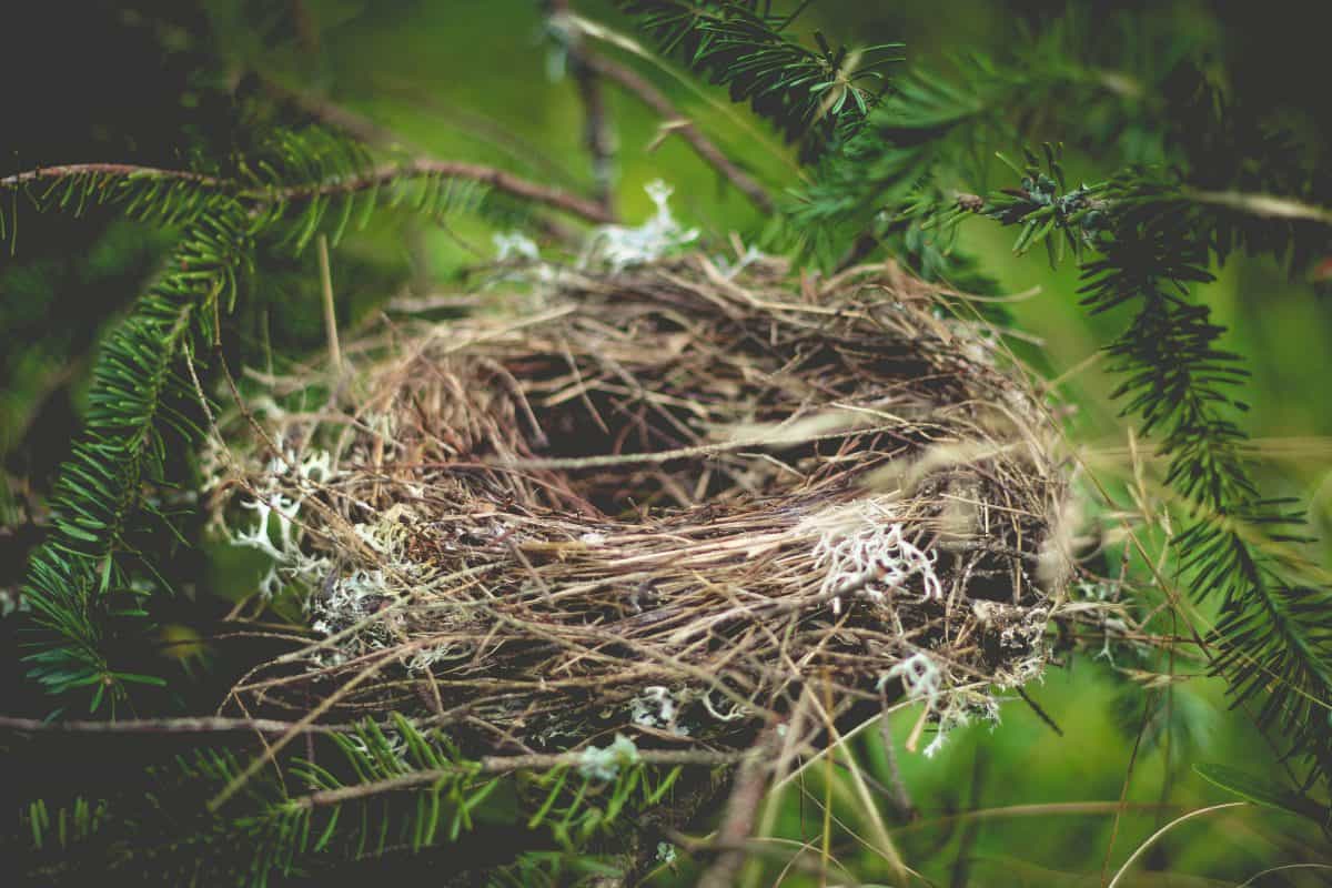 luke-brugger-29476-unsplash