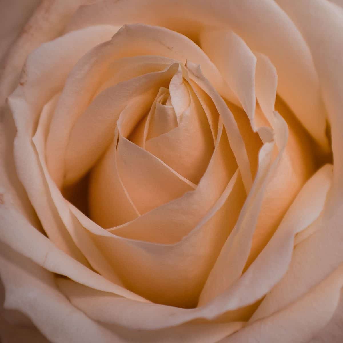 ruslan-keba-476139-unsplash