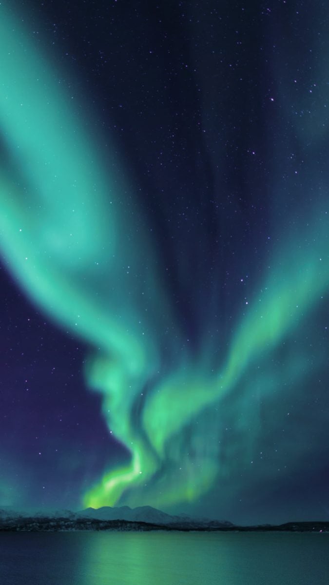 naian-wang-399733-unsplash