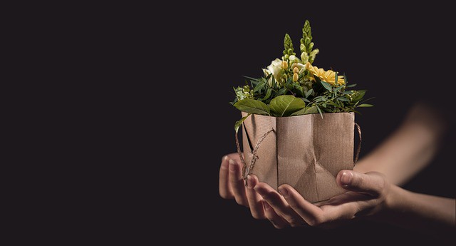 flowers-1338641_640