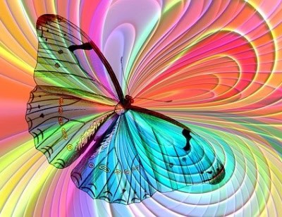 butterfly vibrations