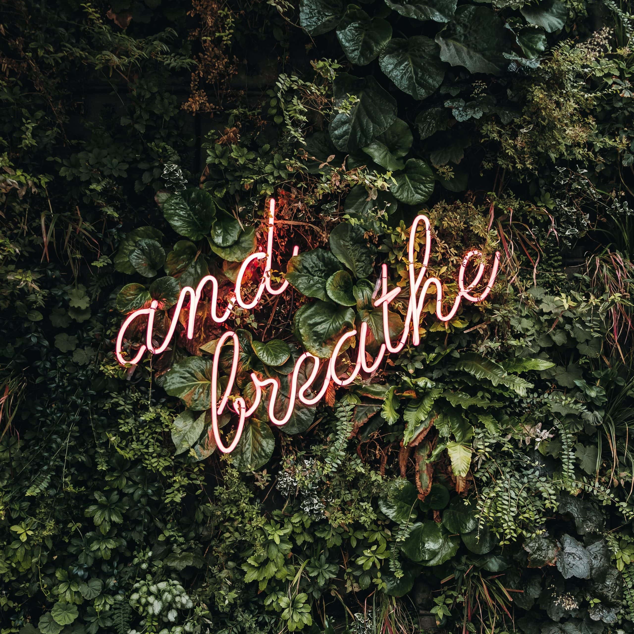 robin-benzrihem-YDLiKD8ZLeA-unsplash