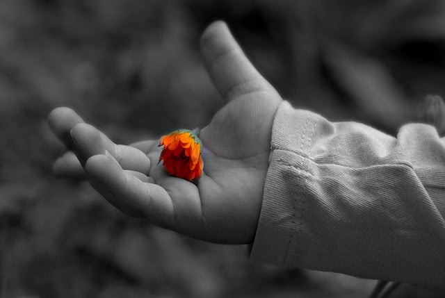 hand-2368250_640