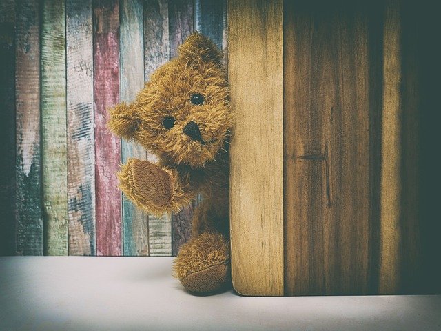 teddy-4590050_640