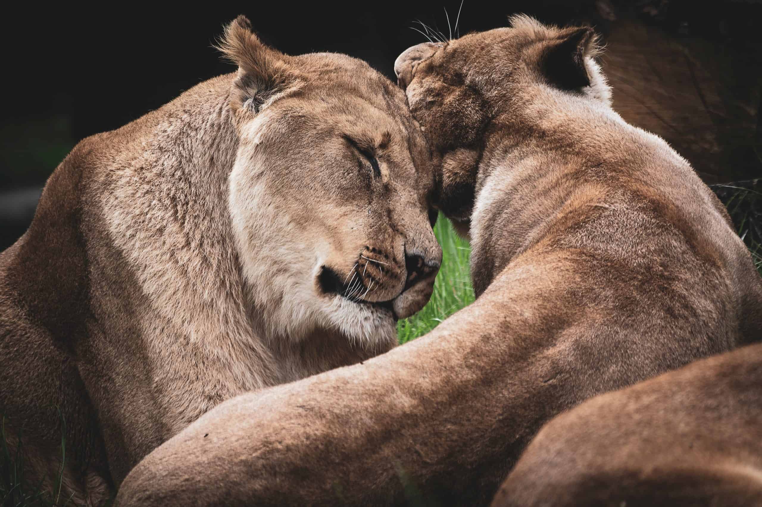jon-butterworth-Nw1Y7EAsrQk-unsplash (1)