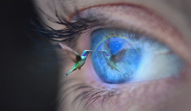 eye-4451058_640