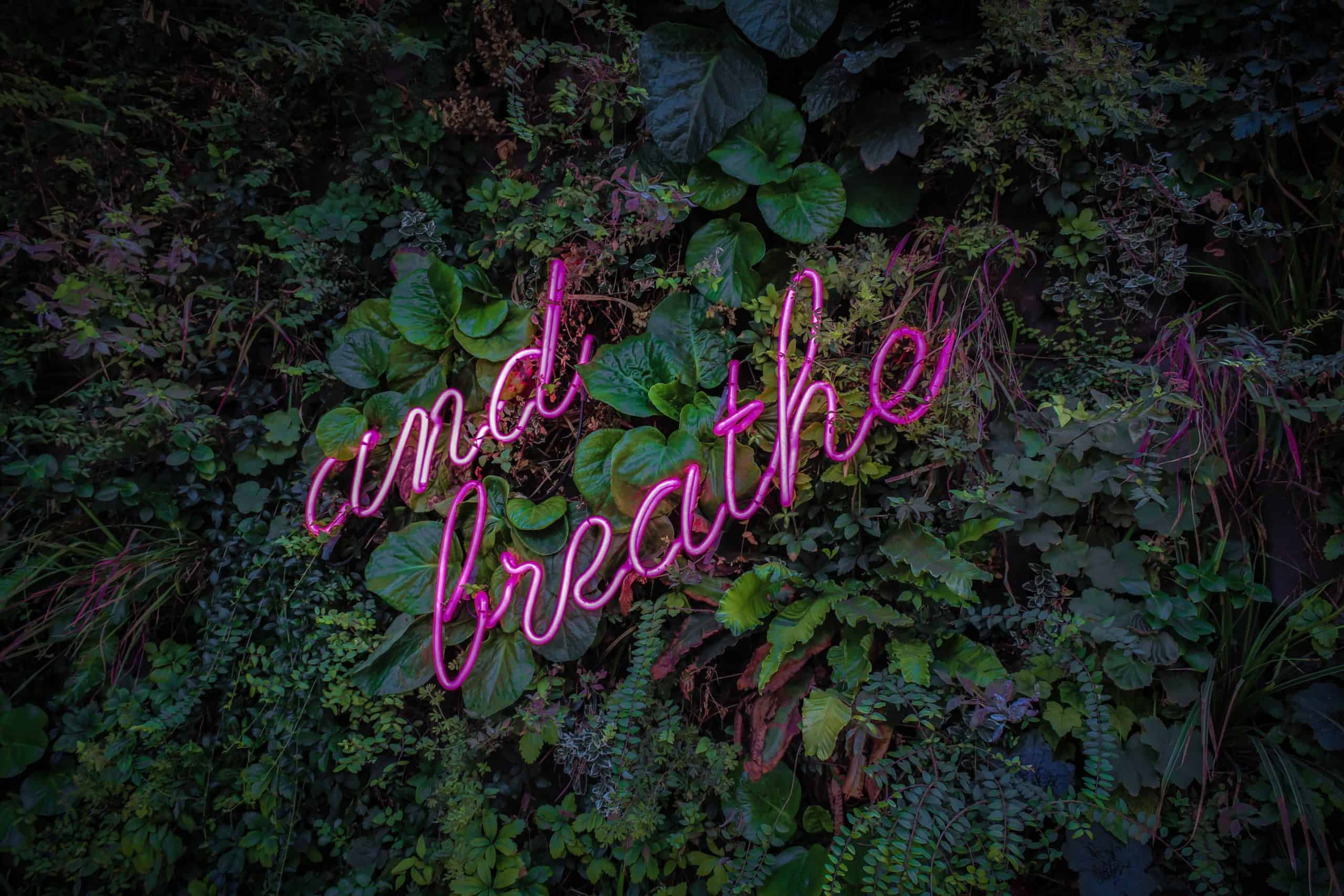 victor-garcia-BiGS_w9t7FU-unsplash