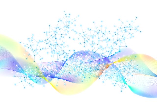 web-4809584_640