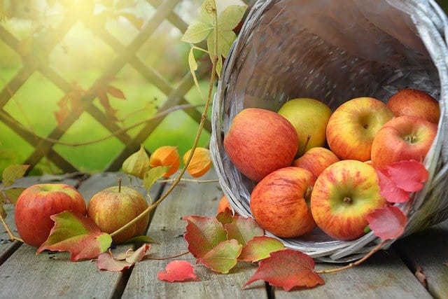apple-1776744_640