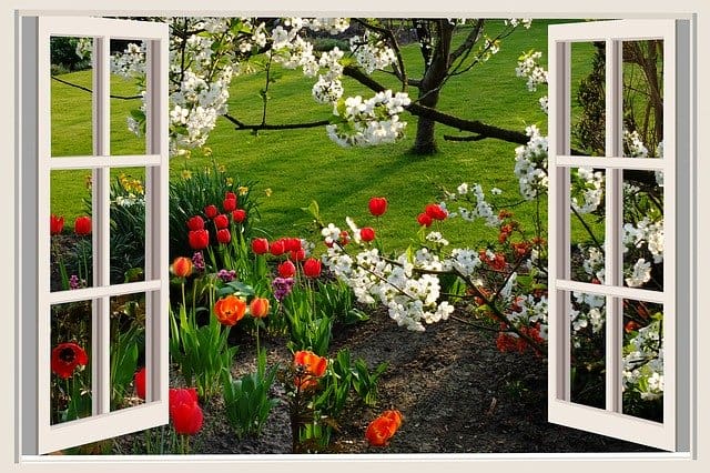 a-beautiful-day-2247264_640