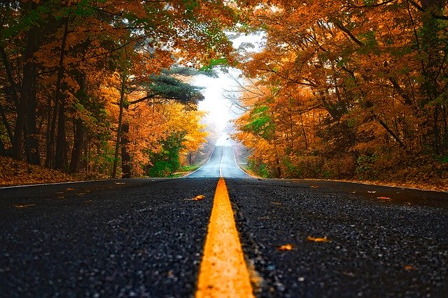autumn-1758194_640