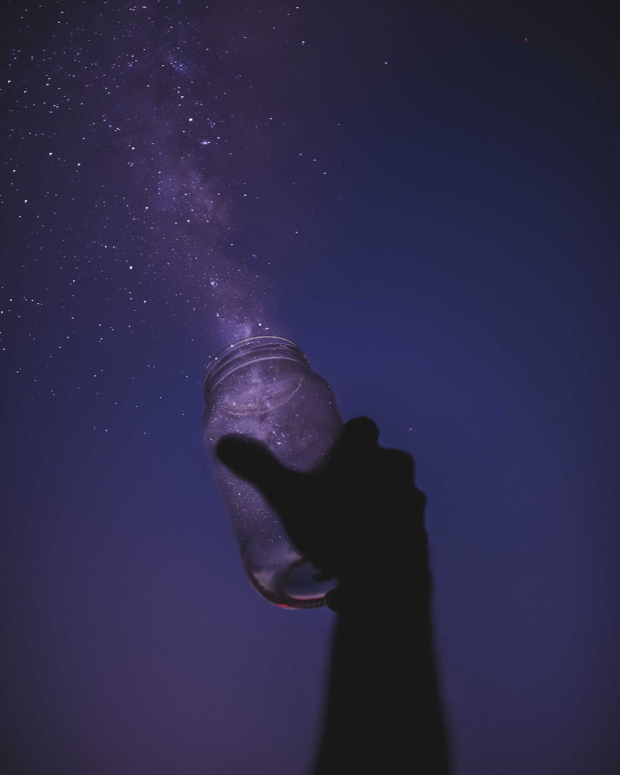 javardh-2q6C5zDJOsg-unsplash