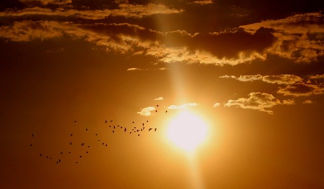 sunset-1625073_640