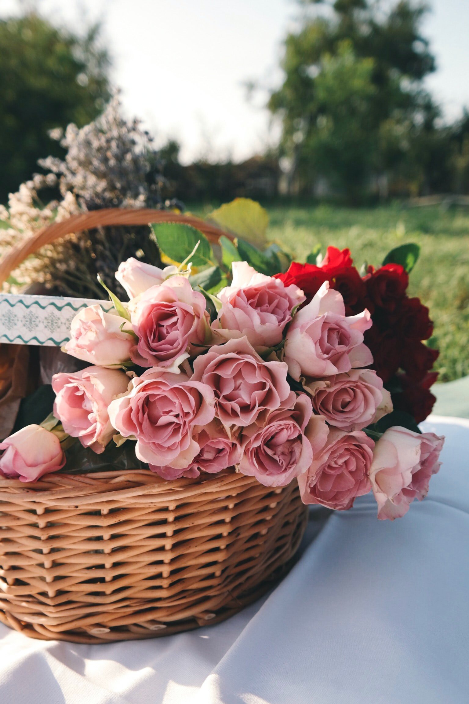 brigitte-tohm-buUFEtmNnjc-unsplash