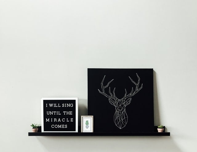 andre-gorham-ii-NTvjTjKnNbE-unsplash