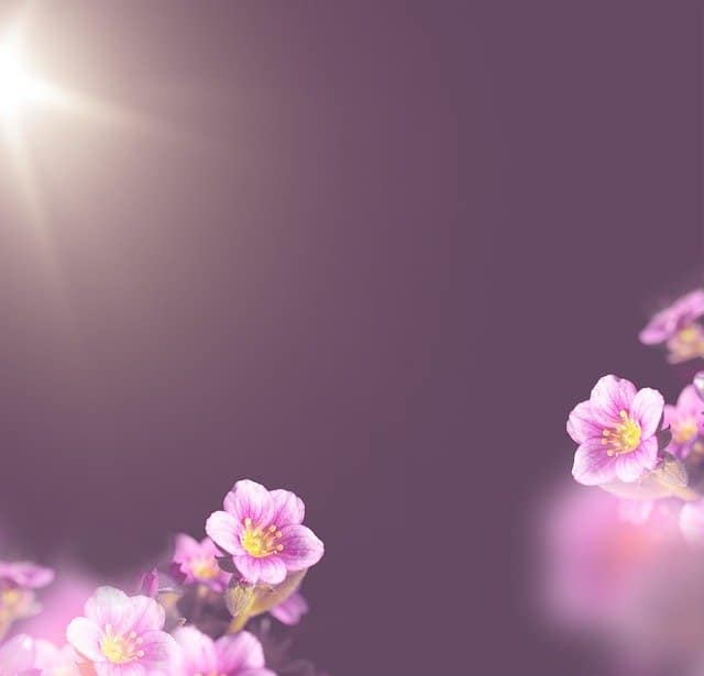 background-4053533_640
