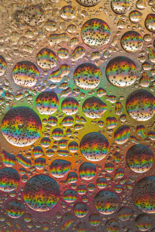 kai-dahms-8v6QE7KSRkU-unsplash