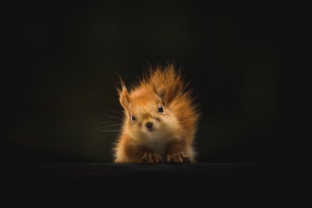 geran-de-klerk-bKhETeDV1WM-unsplash
