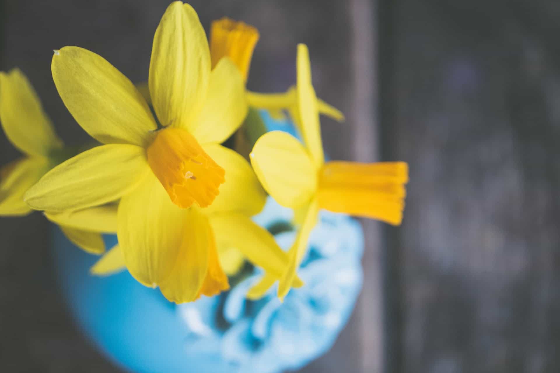 jessica-lewis-KbX21JBiszg-unsplash