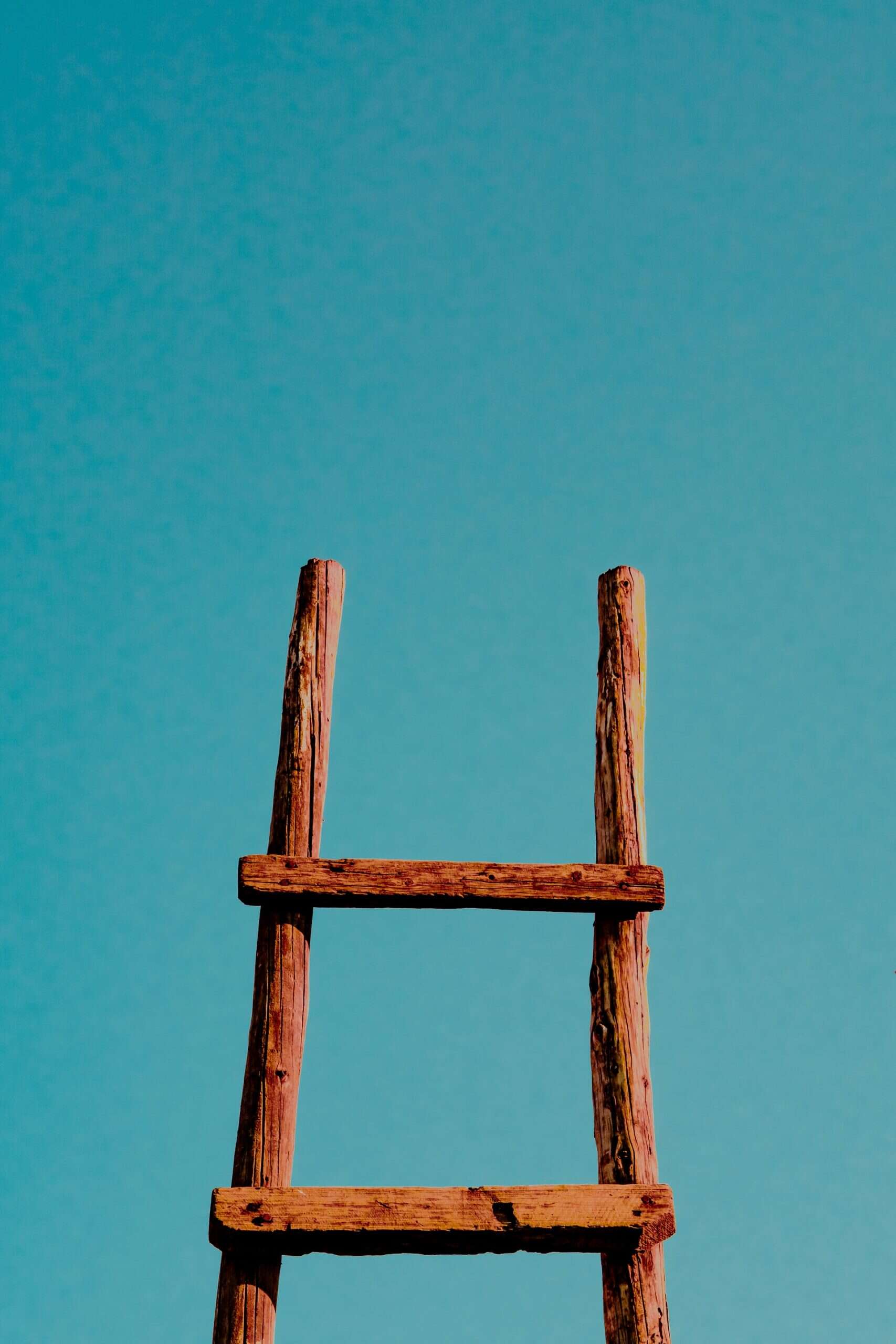 xin-BFO8xXD__gM-unsplash