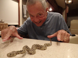 ty with snake