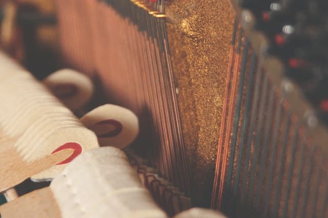 kimberleigh-crowie-JV9J1GKNGHE-unsplash