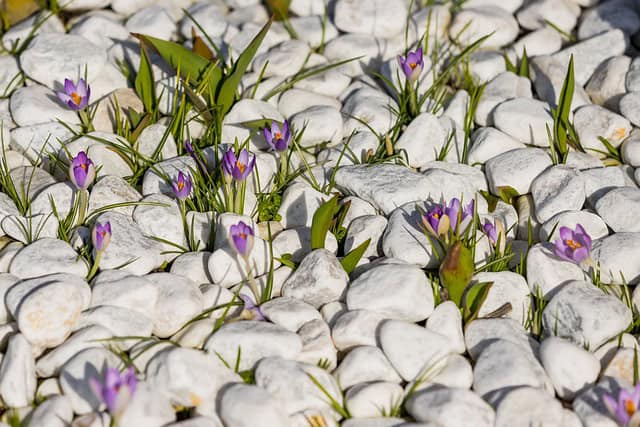 stones-4852852_640