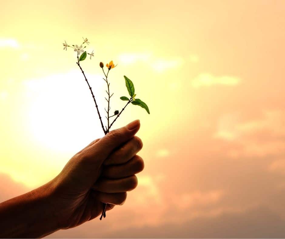 gratitude