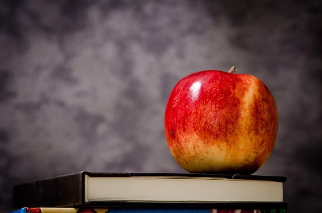 jarmoluk-apple-256262_640