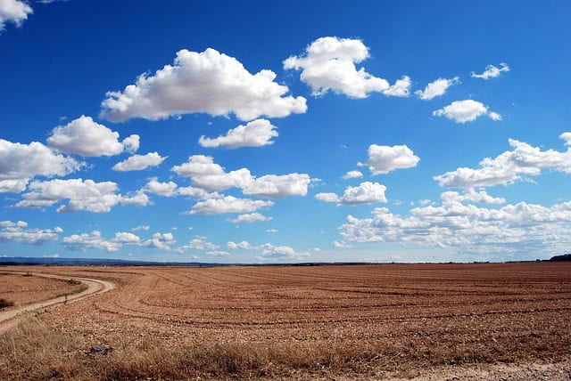 pcdazero-field-533541_640