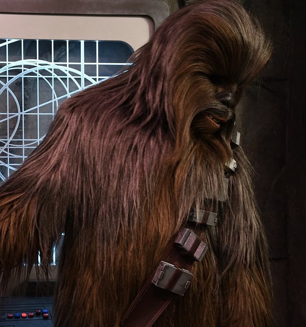 sandra0565-chewbacca-4475120_640.jpg